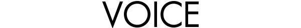 voice