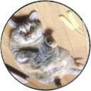 Muu profile picture
